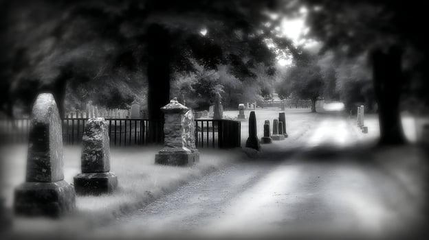 Eerie Cemetery Path Bathed in Mysterious Light. photo