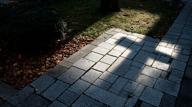Sunlight patterns on a stone pathway with autumn leaves. photo