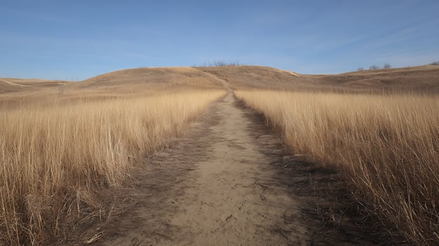 Path Through Dry Grass Towards Rolling Hills Under Clear Blue Sky. photo