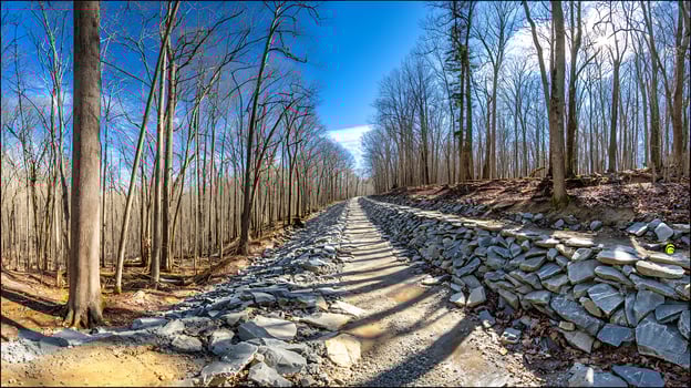 Sunlit Forest Trail with Stone Retaining Wall and Blue Sky photo