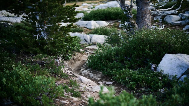 Serene Mountain Trail Winding Through Lush Greenery and Rocks. photo