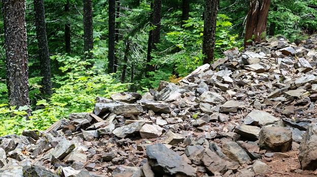 Jagged Rocks and Lush Greenery in a Forest Setting. photo