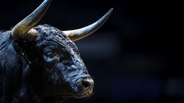 Powerful Black Bull Majestic Horns Intense Gaze Dark Background. photo