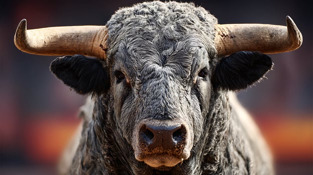 Intense Bull Portrait with Powerful Horns and Determined Eyes. photo