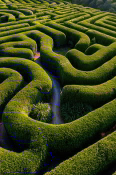 Aerial view of a green hedge maze with pathway, topiary background. Use game photo