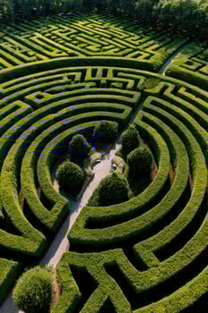 Aerial view of complex hedge maze, pathway leading to central garden area photo
