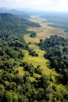 Aerial view of dense forest and open fields stretching toward distant mountains photo