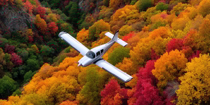 Small plane flies over a colorful autumnal forest and a rocky mountain side photo