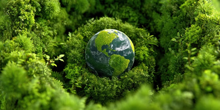 Earth in moss, symbolizes ecological themes and environmental concepts, outdoors photo
