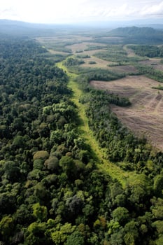 Lush forest meets cultivated land, hills in distance from an aerial perspective photo