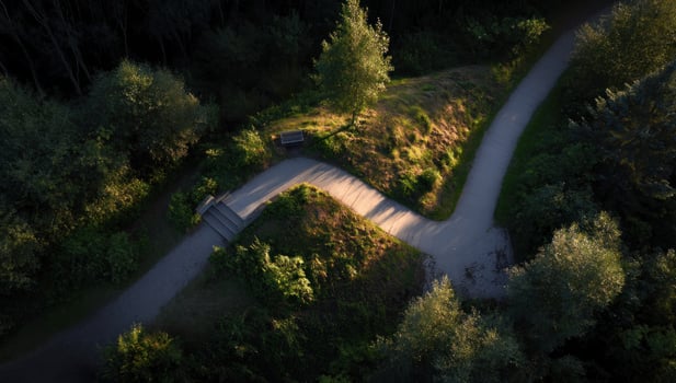 Path splits in the forest, seen from above, sunlight highlighting path ahead photo