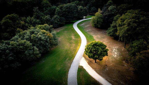 An aerial view of a winding path in a park photo
