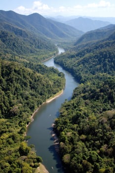 River flows through forested mountains. Aerial view of a tropical landscape photo