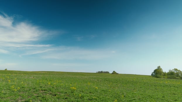 A breathtaking green landscape stretches magnificently under a clear, serene blue sky photo
