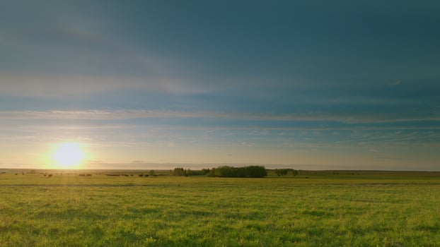 A Stunning and Beautiful Sunset Over Vibrant Lush Green Fields of Nature and Flora Time lapse. photo