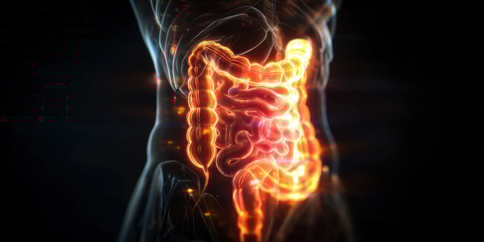 Colon Anatomy glowing. Body illustration on dark background. Medical use photo