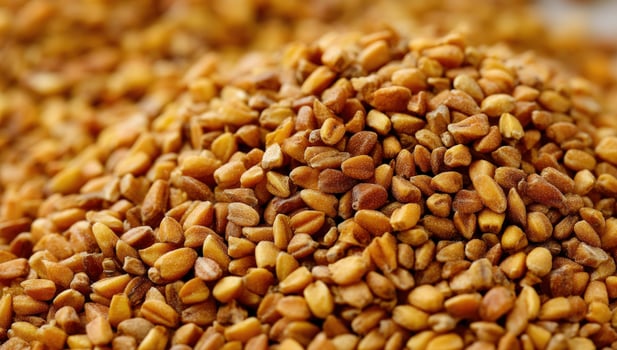 Fenugreek seed pile closeup. Ingredient background for a healthy food illustration photo