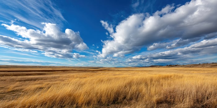 Golden field sweeps to cloudy horizon under sunny skies in rural countryside photo