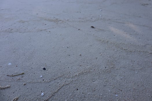 The surface is smooth sand with fine sand grains and evenly distributed interspersed with small shell fragments on the beach. photo