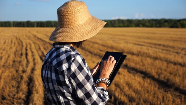 Farmer using digital tablet at wheat meadow on sunny day. Female agronomist monitoring harvest at barley field. Beautiful scenic landscape. Concept of agricultural business. Slow motion photo