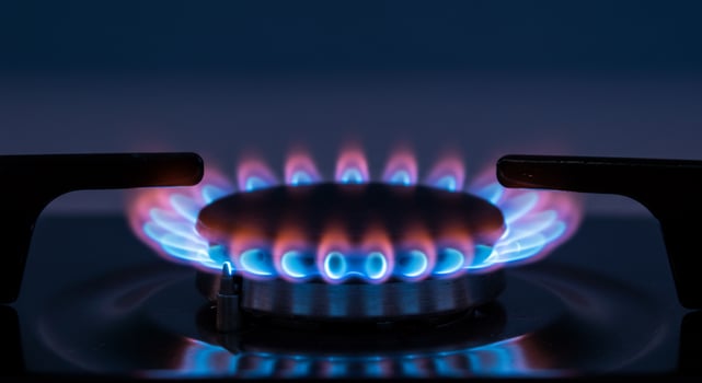 Intense Blue and Red Flames Crown a Modern Kitchen Gas Burner photo