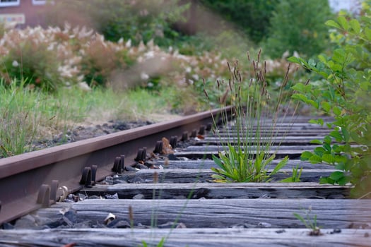 Abandoned railroad tracks with overgrown vegetation photo