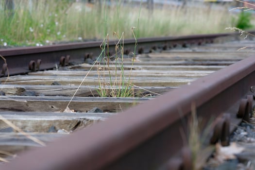 Rusty metal rails with plants growing through stones photo