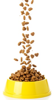A yellow bowl filled with dog food falling into the air photo