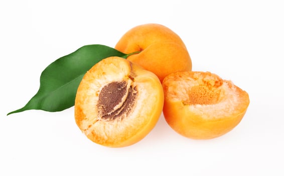 Apricot fruits on a white back photo