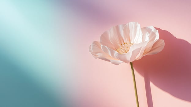 Minimalist line art abstract flower on a soft blush and mint pastel gradient background photo