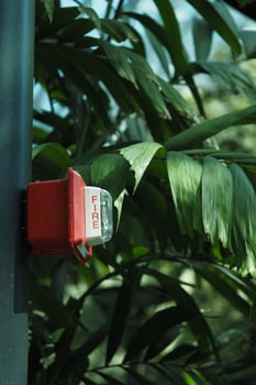 Fire alarm mounted near lush greenery in a public area photo