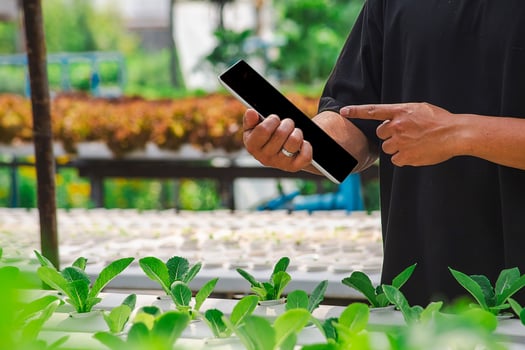 Male farmer working with digital tablet in green field, smart farm, agribusiness concept1 photo