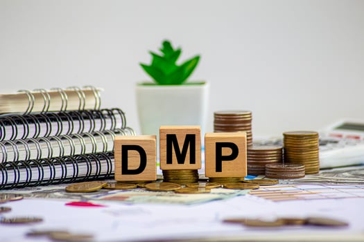 DMPs help businesses identify audience segments, which can then be used to target specific users and contexts in online advertising campaigns. photo