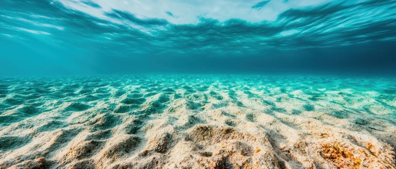 Underwater scene with sandy ocean floor and rippling water photo