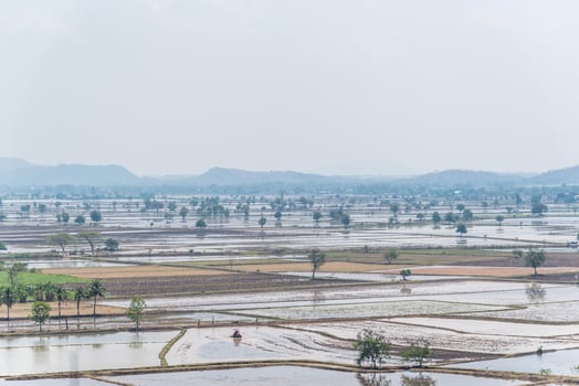 A large field of water photo