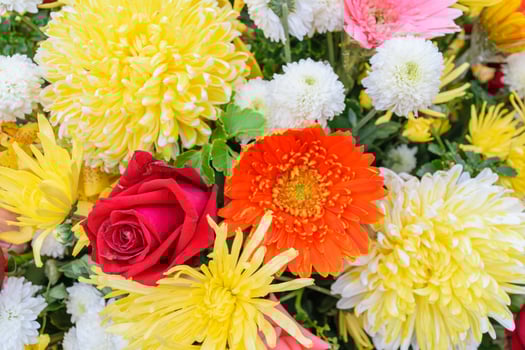 A bouquet of flowers with red, yellow, and white flowers photo