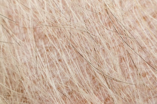 A close up of a person's hair with long white hair photo