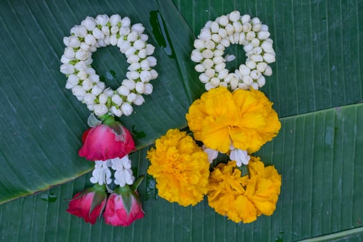 Garland jasmine flower photo