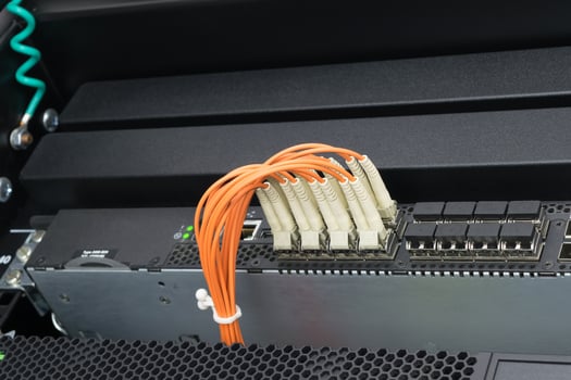 Network switch and fiber optic cable photo