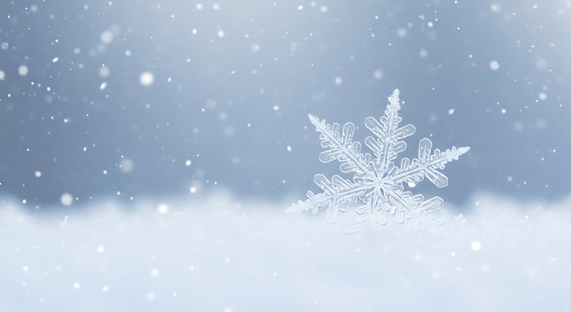 A single snowflake falling in a winter wonderland photo