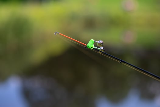 A fishing rod with a green frog on it photo
