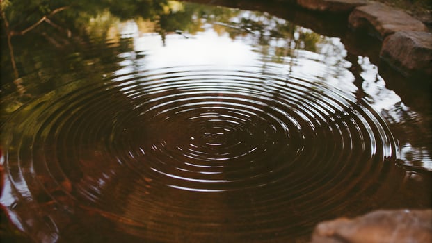 Concentric circles of water ripples spreading on reflective water surface photo