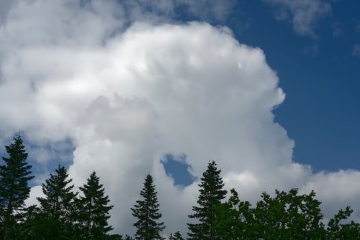 Blue summer sky with donut shaped cloud above pine forest photo