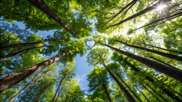 Lush Forest Canopy with Heart Shaped Sky Glimpse Sunlight Filtering Through Green Tree Crowns, Upward View, Natures Beauty, Serene Woodland photo