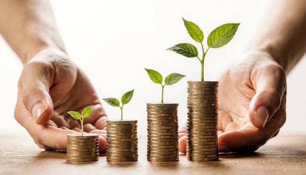 Growth, Finance, and Nurturing Investment photo
