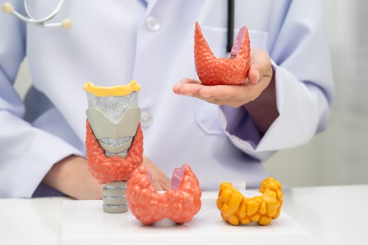 Hyperthyroidism, Overactive Thyroid, Thyroid Lymphoma, Asian doctor with thyroid gland anatomy photo