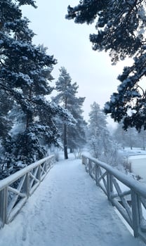 Winter wonderland bridge serene snow covered landscape pine trees peaceful scene frosty air outdoor adventure winter travel winter scenery seasonal beauty holiday destination photo
