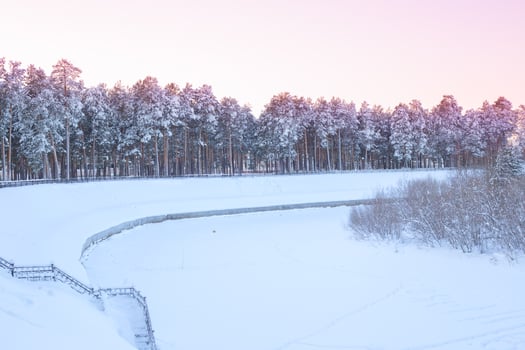 winter landscape in the forest on the banks of a snowy river photo