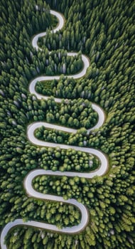 Aerial view of a winding asphalt road through a dense green forest winding road trees photo