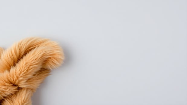 A pair of brown furry ears on a white background photo